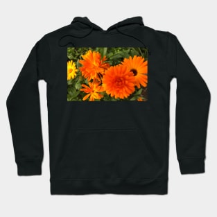 Calendula macro Hoodie